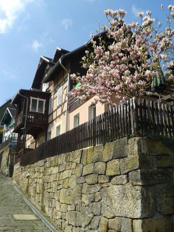 Wehlener Landhaus In Stadt Wehlen, Saechsische Schweiz Extérieur photo